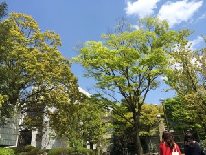 キャンパスの空-1